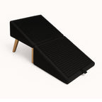 2-in-1 pet steps and footstool in black