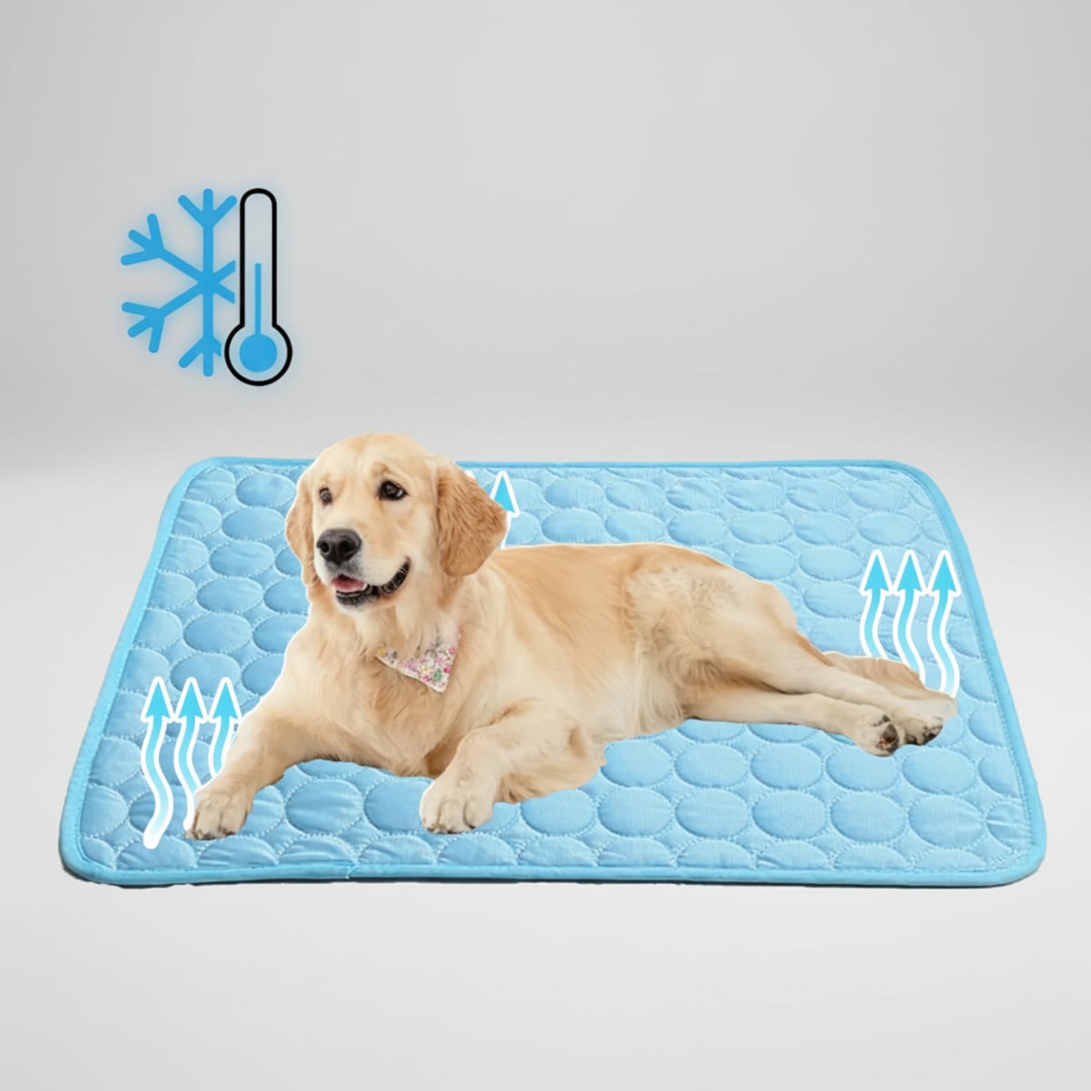 self-cooling pet mat in blue
