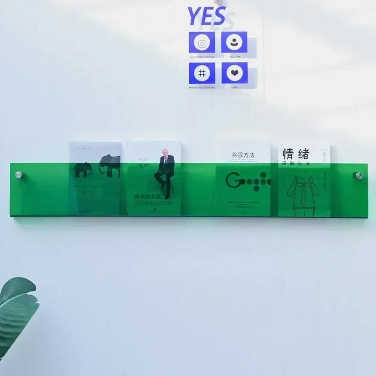 wall-mounted magazine and book display shelf in green